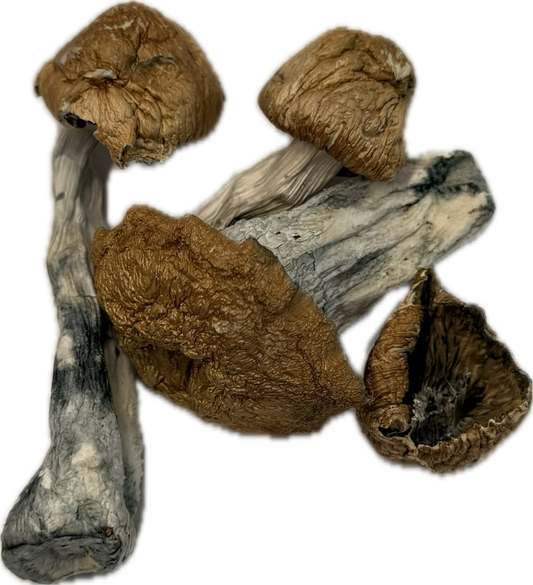 Mushrooms