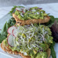Vibes with a Vegan: A Plant-Based Cookbook for Every Meal
