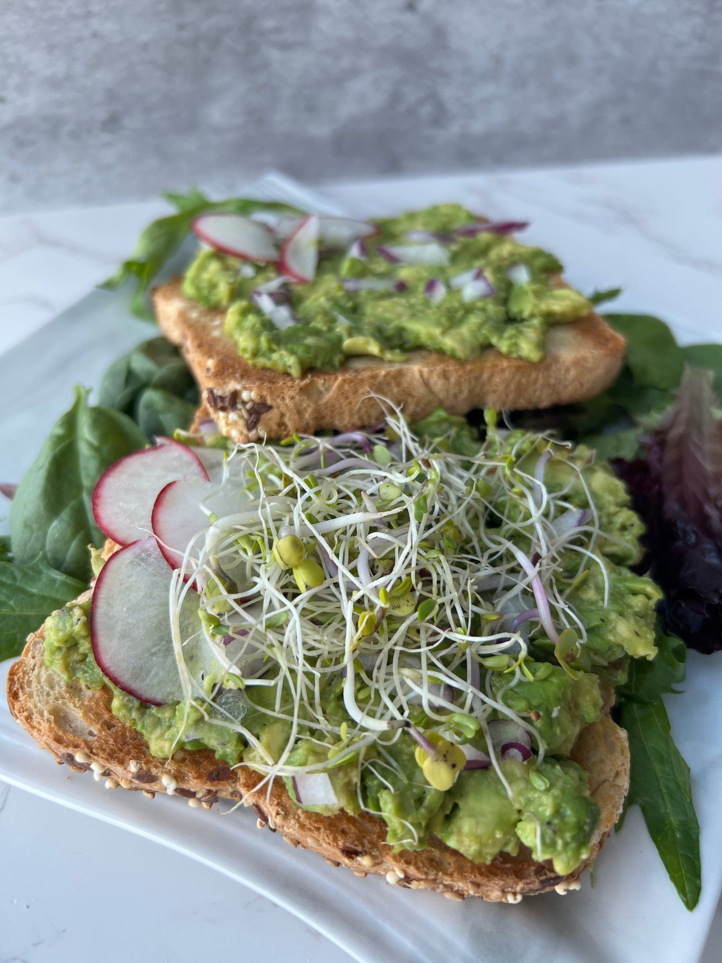 Vibes with a Vegan: A Plant-Based Cookbook for Every Meal